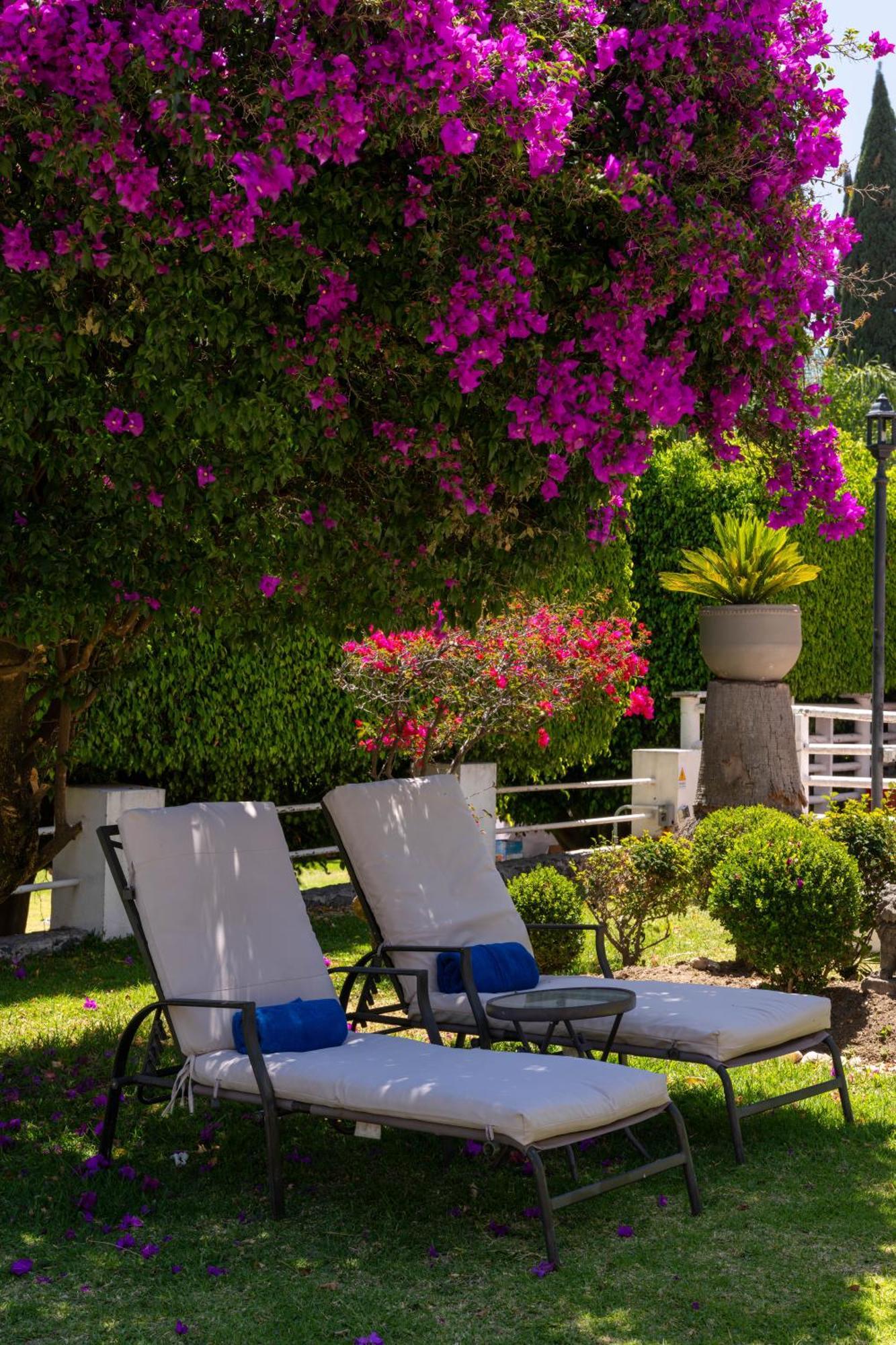 Rio Tinto Hotel Boutique Atlixco Bagian luar foto